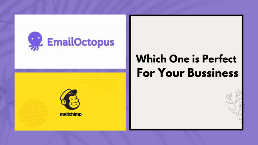 Which Is Better for Your Business, Mailchimp or Email Octopus?插图